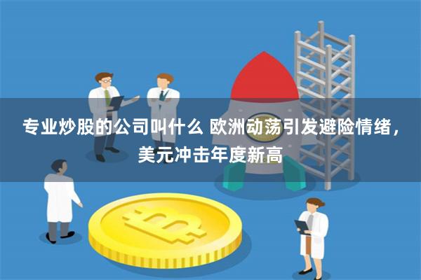 专业炒股的公司叫什么 欧洲动荡引发避险情绪，美元冲击年度新高