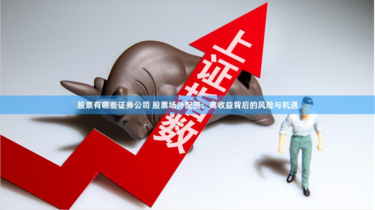 股票有哪些证券公司 股票场外配资：高收益背后的风险与机遇