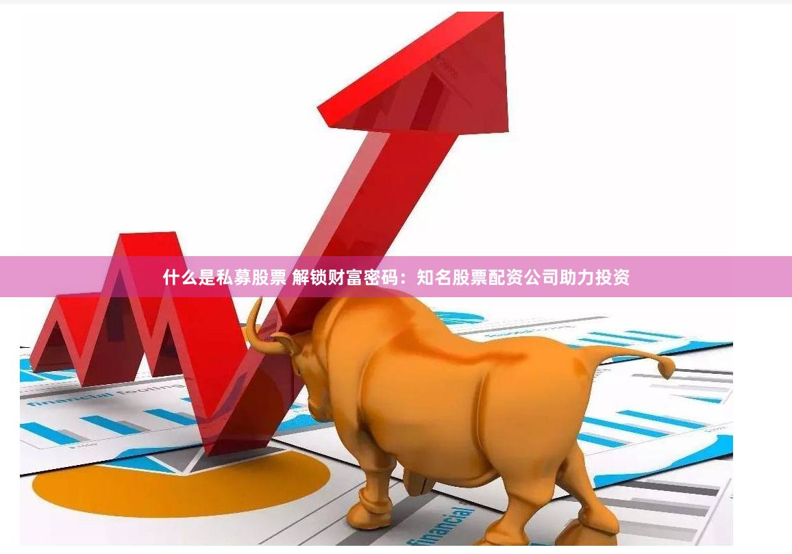 什么是私募股票 解锁财富密码：知名股票配资公司助力投资