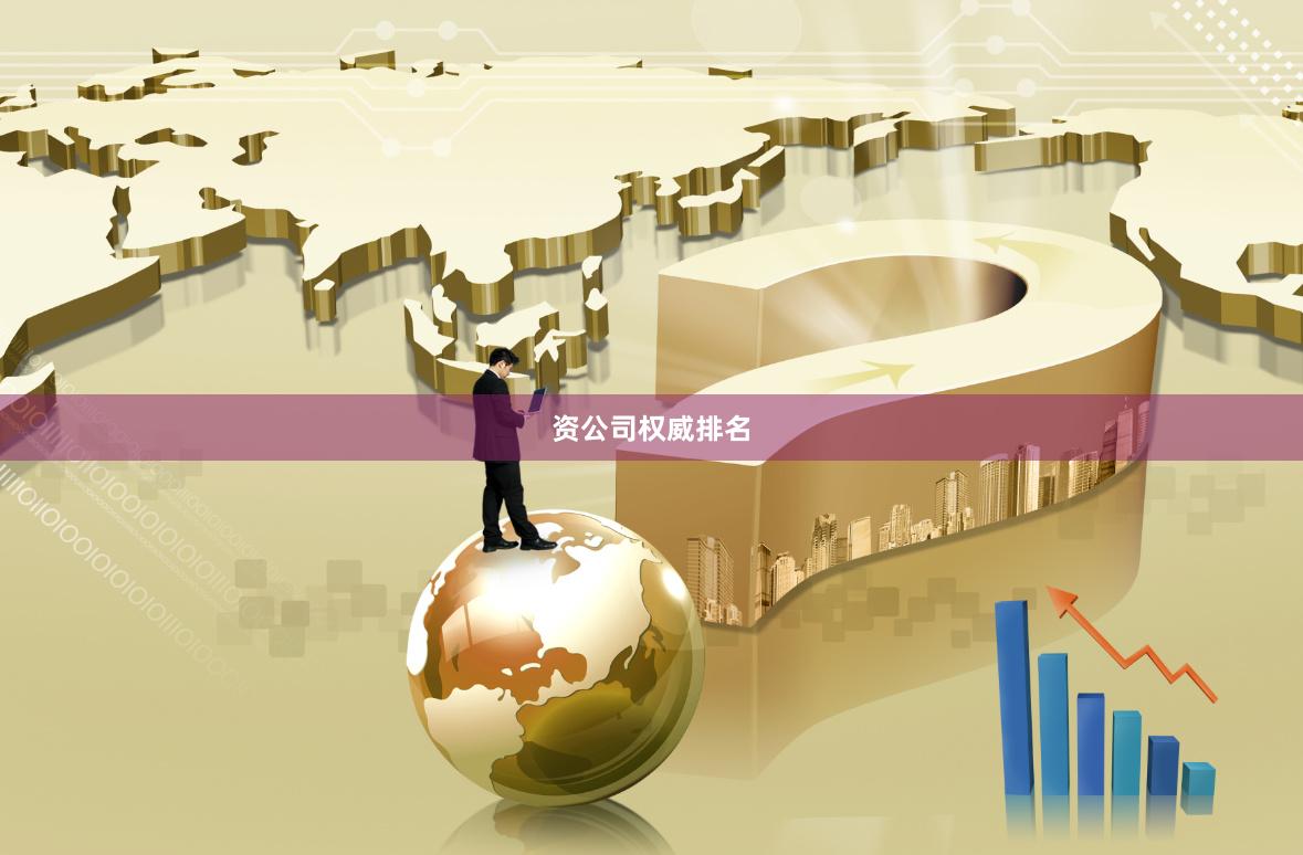 资公司权威排名